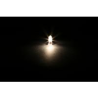 Cata 12 Volt 20 Watt G4 Duylu Halojen Kapsül Ampul 10 Adet