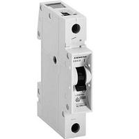 Siemens Otomatik Sigorta C 1P 2A 3Ka 5SQ2170-2YA02