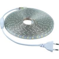 Cata Şerit LED Hortum 3 Çip Dış Mekan Smd LED Beyaz Işık 15 Metre 