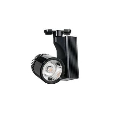 Forlife 25W Led Ray Spot Siyah Kasa Beyaz Işık FL-2232S