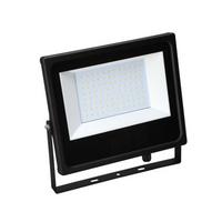Lamptime 70 Watt Led Projektör Beyaz Işık 252607