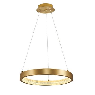 Özcan Aydınlatma 5698-1A-20 Tekli Sarkıt-Dış Metal Eskitme