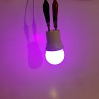 Gece Lambası Ampülü Mor 1W Led E27 Duy