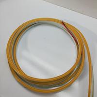 Neon Led 12 Volt Amber Işık Dış Mekan 10 Metre