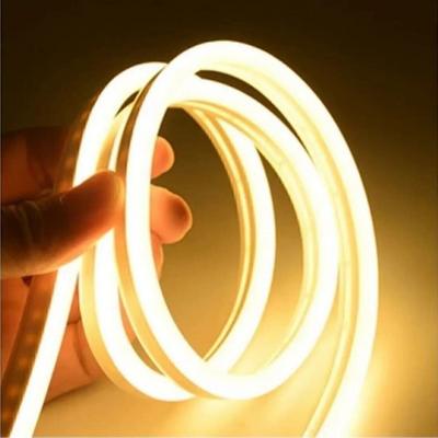 Neon Led 12 Volt Gunışığı Işık Dış Mekan 3 Metre