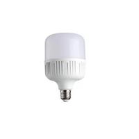 Noas 30W Smd Led Ampül E27 Duy 2700 LM Gunışığı Işık YL95-3001