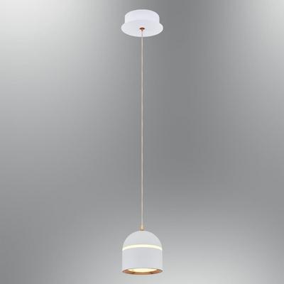 Özcan Aydınlatma 2808-1A-01 Domm Tekli Sarkıt Beyaz