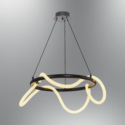 Özcan Aydınlatma 3240-1A-19 50cm Daire Hortum Avize Siyah