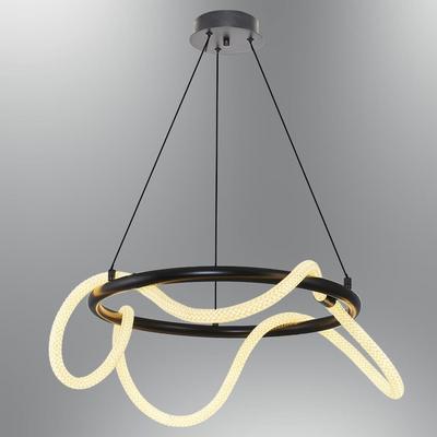 Özcan Aydınlatma 3240-2A-19 60cm Daire Hortum Avize Siyah