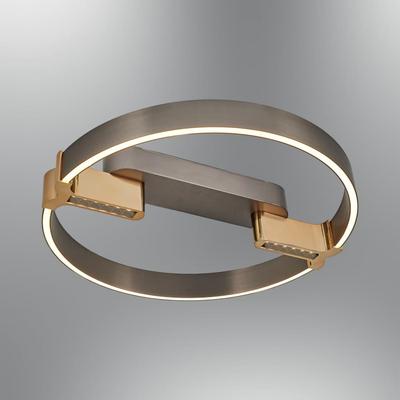 Özcan Aydınlatma 5721Y-1 Platin Tekli Çember Plafonyer