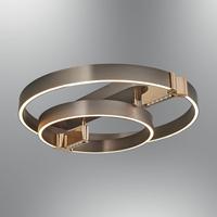 Özcan Aydınlatma 5721Y-2 Platin 2 Li Çember Plafonyer
