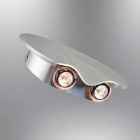 Özcan Aydınlatma 5732-APL-24 Oyster Aplik Platin