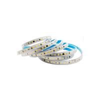 Şerit Led 220 Volt Trafosuz Yapışkanlı Dış Mekan Günışığı Işık Fiş + 20 Metre CT-4476